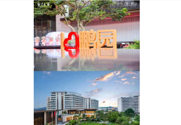 1750735565466003131.png 1750735532183.png